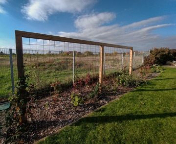 Rám na popínavé rostliny